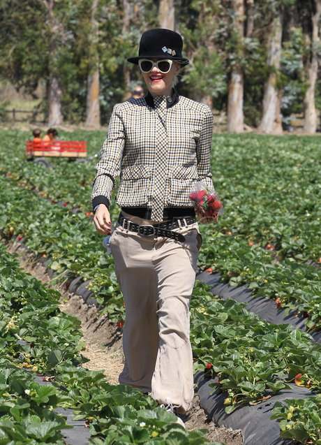 sunglasses Gwen Stefani jacket sneakers zuma  kingston Underwood Family Farms 