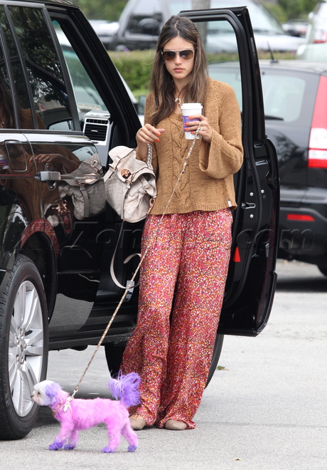Alessandra Ambrosio malibu dog puppy victoria's secret 