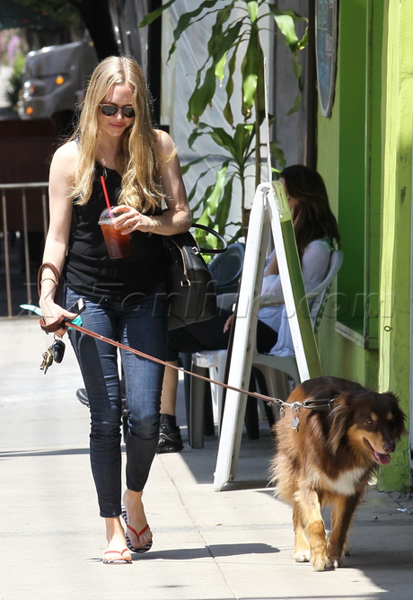 sunglasses Amanda Seyfried skinny jeans tank dog 