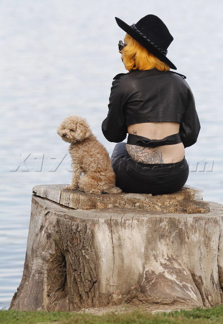 Lady Gaga sunglasses jacket popcorn dog Bucharest Romania Herastrau Park