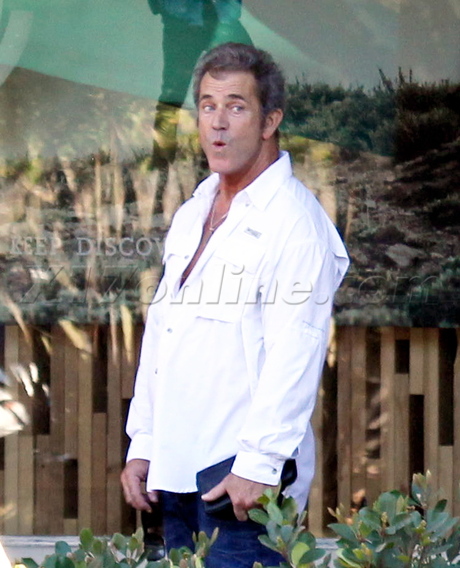 Mel Gibson angry rage ice cream daughter lucia nanny malibu fight argue