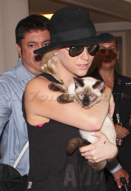 sunglasses blonde hat singer cat airport lax ke$ha kesha 