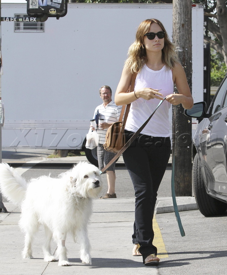 Tailwaggers & Tailwashers olivia wilde sunglasses ray ban nipple