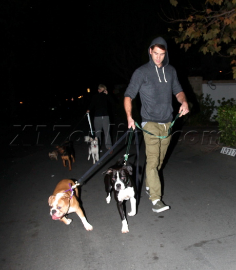 Miley Cyrus, Liam Hemsworth Toluca Lake dogwalking 