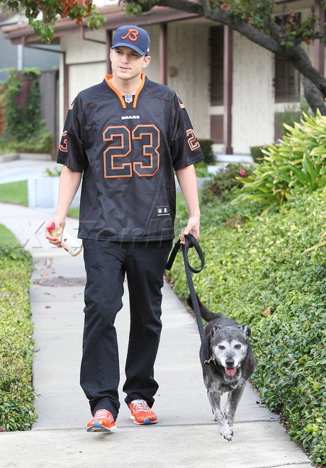 Ashton Kutcher dog bears hat jersey mila kunis demi moore 
