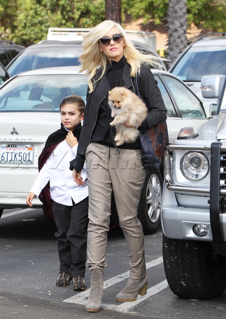 Gwen Stefani  holloween costume heels puppy sunglasses leather jacket vampire pumpkin patch 