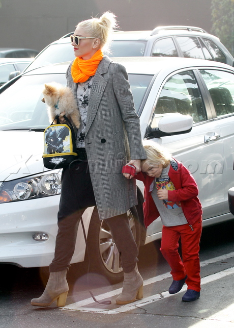 Gwen Stefani  jeans boots scarf sunglasses dog bright scarf zuma 