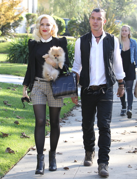 Gwen Stefani shorts tights red lips thanksgiving zuma kingston blazer dog