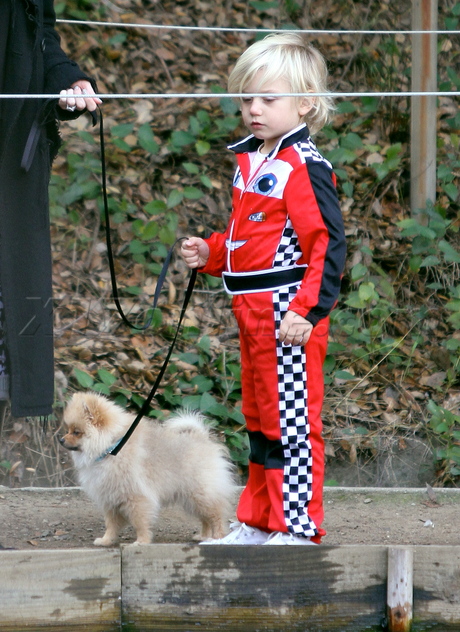 Gwen Stefani blonde singer zuma rossdale racecar school puppy nature park dog 