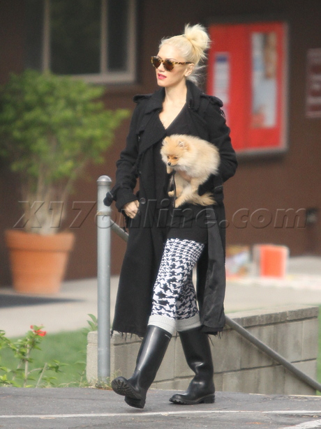 Gwen Stefani blonde singer zuma rossdale racecar school puppy nature park dog 