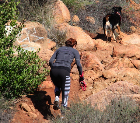 dog pet hike 