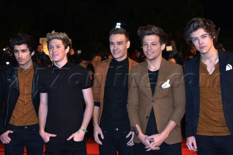 Harry Styles One Direction NRJ Music Awards 2013 at Palais des Festivals in Cannes, France. One Direction, Zayn Malik, Niall Horan, Liam Payne and Louis Tom 