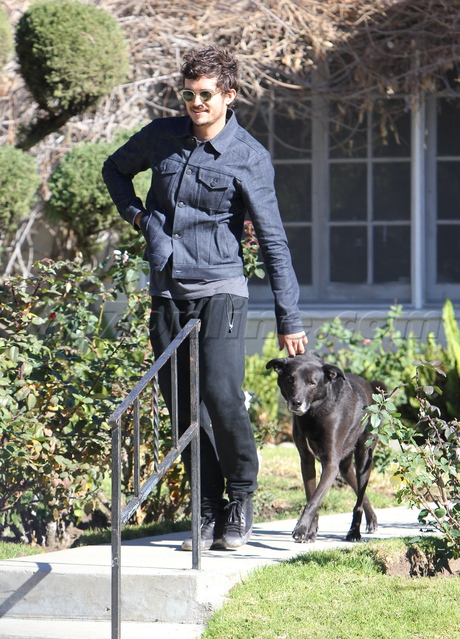 Orlando Bloom Hollywood house dog sunglasses audi 