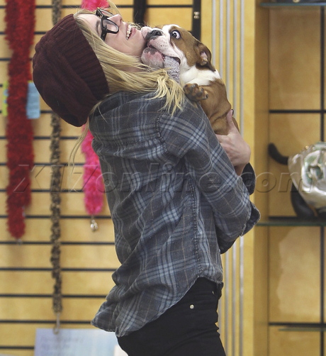 beanie sunglasses Ashley Benson glasses pet store plaid shirt converse