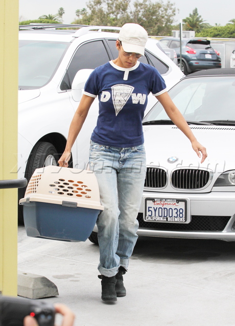 veterinarian halle berry cat sick sunglasses denim culver city