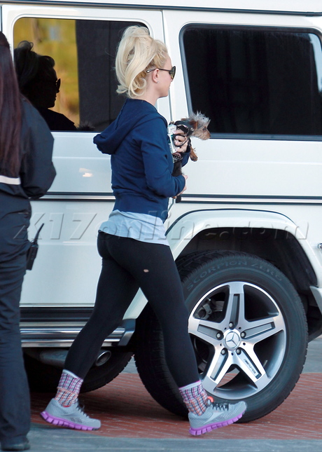 sunglasses Britney Spears cigarettes  hole in pants ponytail beverly hills dog 