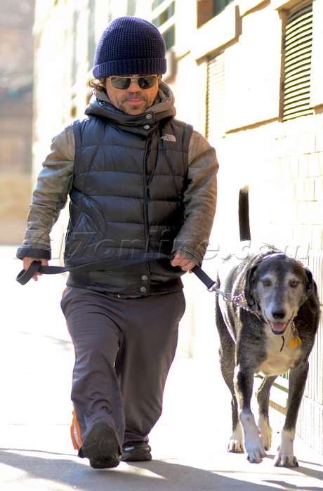 nyc Peter Dinklage game of thrones beanie pup 