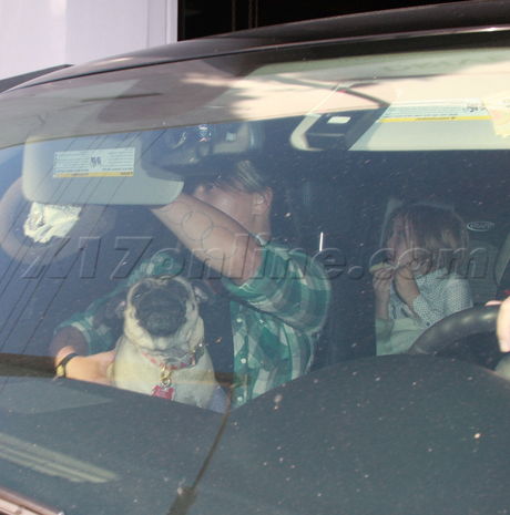 Brad Pitt, Angelina Jolie Siren Studios family pug Blackout Superstar Knox 