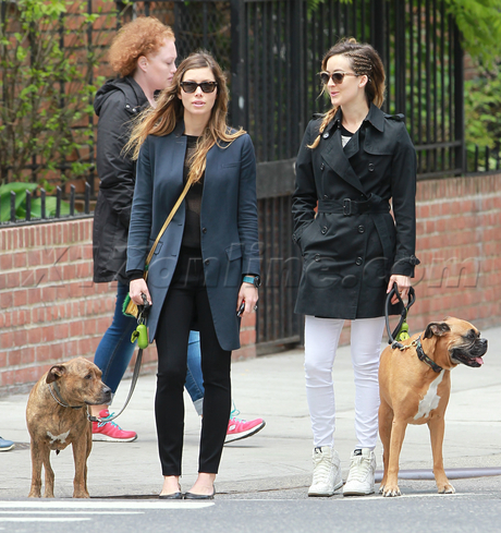 Jessica Biel dog justin timberlake sunglasses jacket nyc 