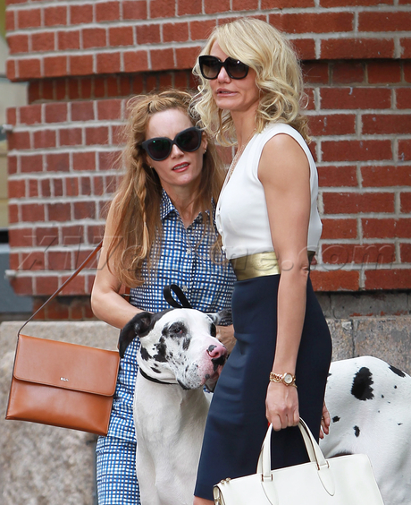 nyc legs heels skirt dog dalmatian Leslie Mann Cameron Diaz blonde sunglasses 