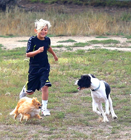 Gwen Stefani Kingston Zuma Rossdale Knott's Berry Farm bumper cars dogs 