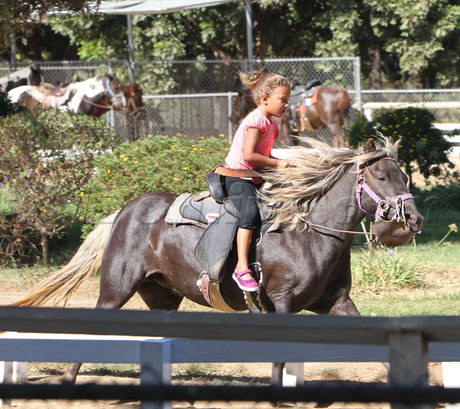 horses nahla ride Halle Berry pregnant sunglasses tank train