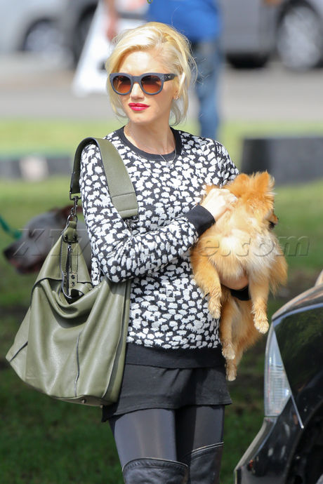 Gwen Stefani Mom to be pregnant thrid baby 