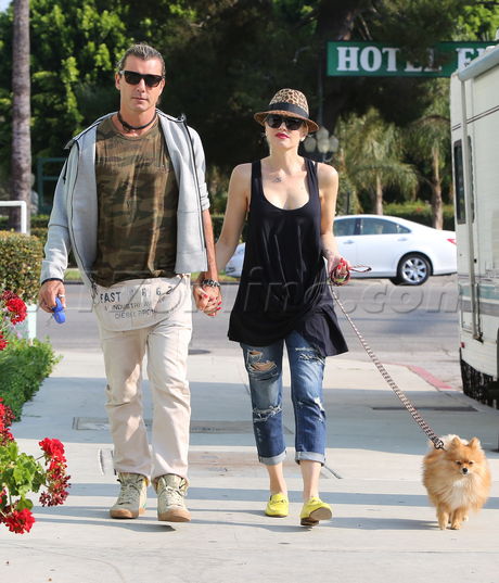 Studio City sunglasses denim coffee dog pregnant gwen stefani gavin rossdale 