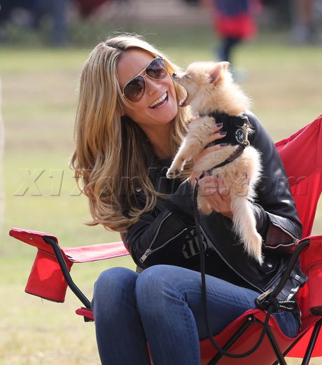Heidi Klum  sunglasses puppy soccer martin kristen jeans leather jacket pomeranian 