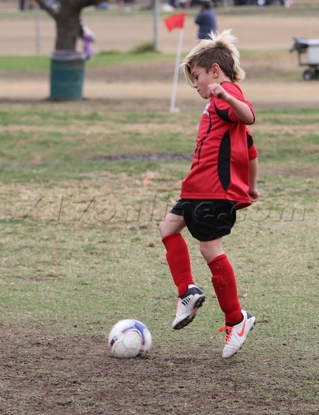 Gwen Stefanisoccer Kingston urban camoflage pregnant mom 