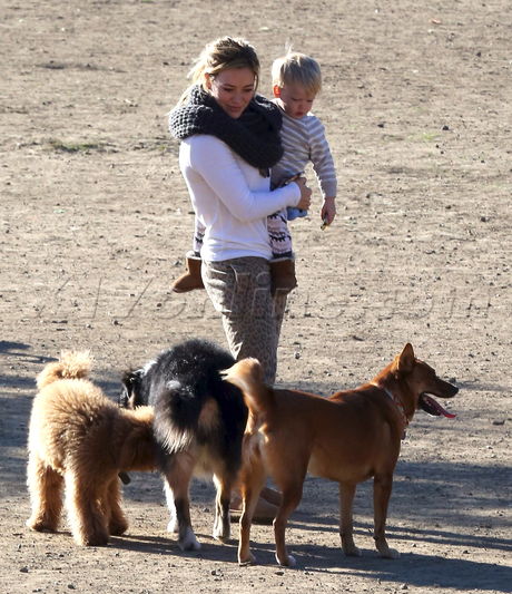 Hilary Duff Luca dog park