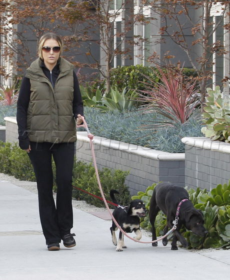 Brooke Mueller dogs charlie sheen sunglasses 