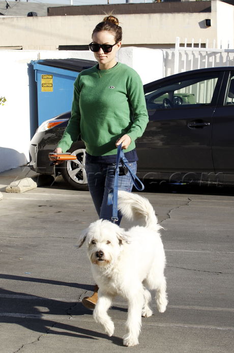 Olivia Wilde pregnant dog Culver City 