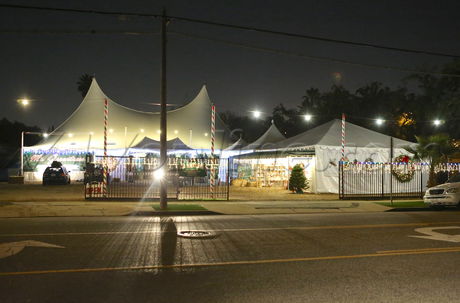 Jennifer Aniston, Justin Theroux Christmas Tree shopping