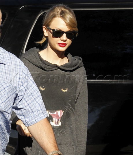 Taylor Swift Evolution Dance Studios hoodie 