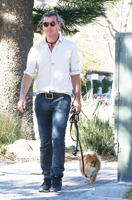 Gavin Rossdale dog jeans gwen stefani