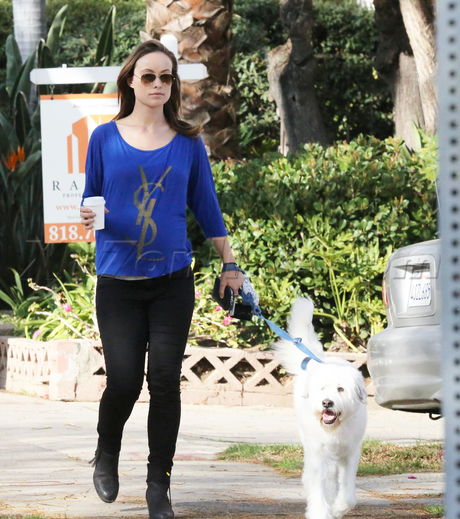 Olivia Wilde  pregnant tank boots dog 
