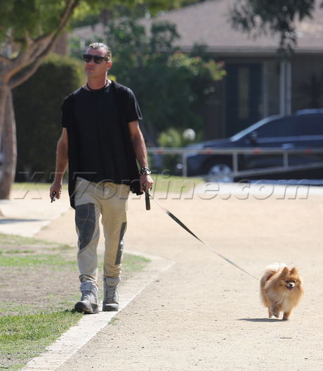 Gavin Rossdale Kingston Zuma soccer 