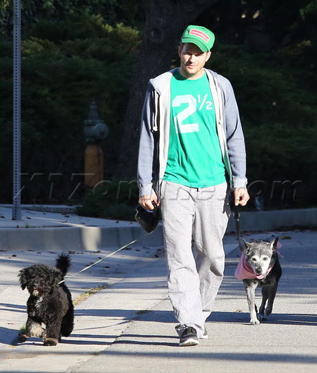 Ashton Kutcher dog walk st. patrick's day hoody hat 2 1/2