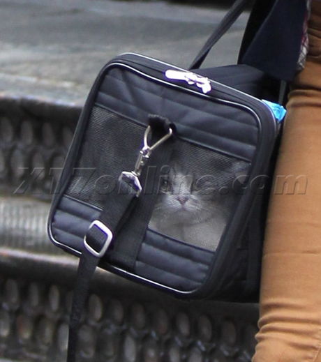 Taylor Swift cat blazer mustard jeans 