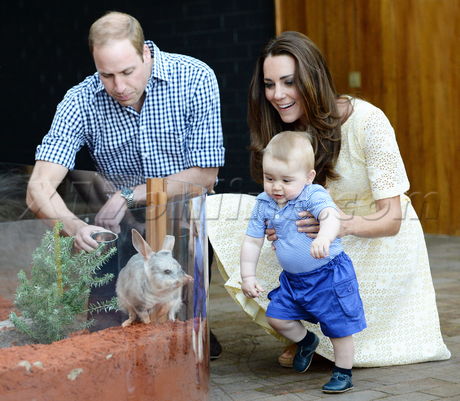 royal Kate Prince William Kate Middleton australia zoo 