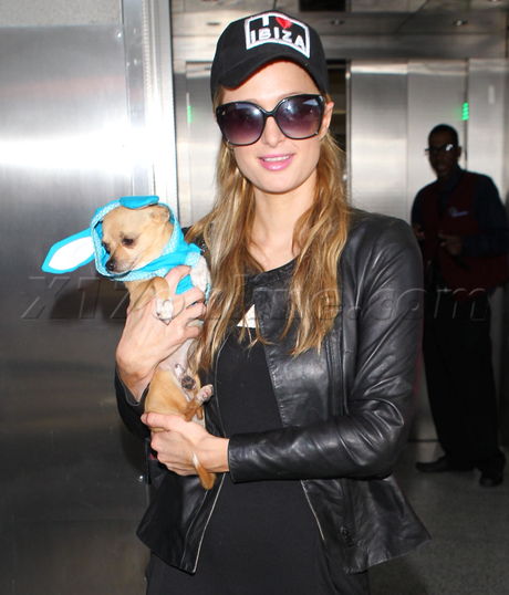sunglasses lax Paris Hilton  hat maxi dress dog 