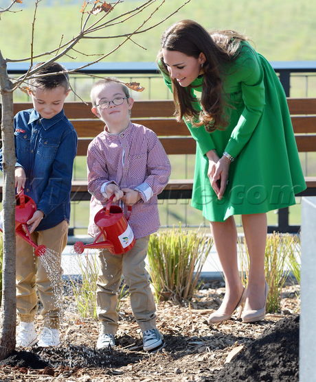 royal william kate tree Arboretum 