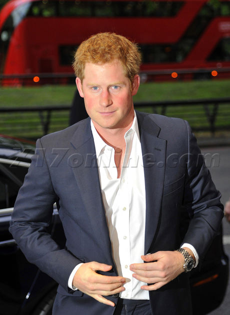 Royal reception social event Prince Harry 