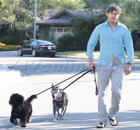  Ashton Kutcher  mila kunis jeans dogs messy 