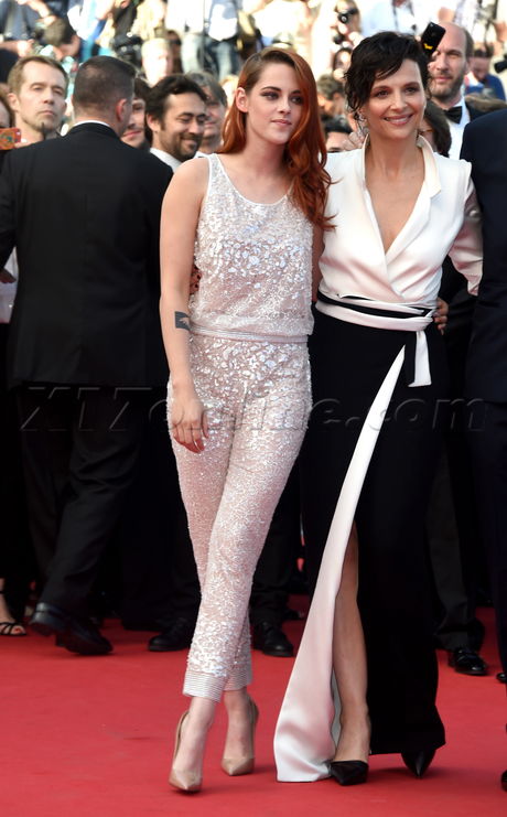 premire Cannes France Cannes Film Festival Festival du Film de Cannes Festival Event Red Carpet Marches Premiere Tapis Rouge MontŽe des Marches 