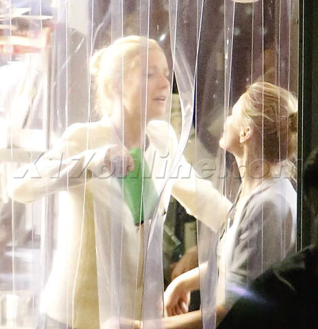 Cameron Diaz Gwyneth Paltrow giorgio baldi dinner hug santa monica chris martin 