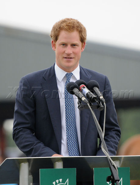 Prince Harry  royals show 