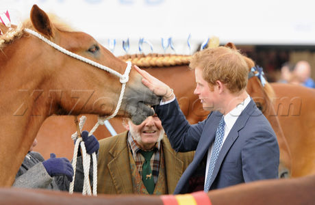 Prince Harry  royals show 