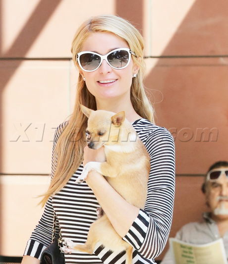 Paris Hilton  dog striped dress Anastasia sunglasses 